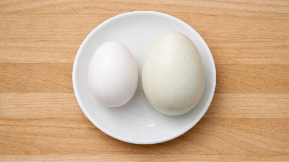 Huevos de pato vs huevos de gallina: diferencias reales al comprar y cocinar
