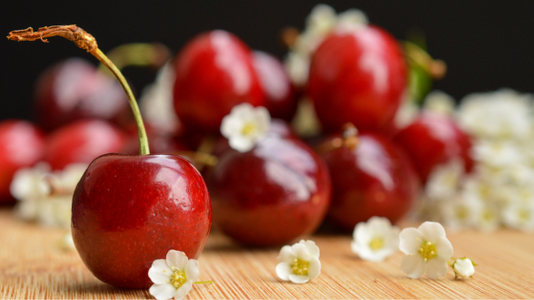 ¿Cómo elegir buenas cerezas frescas antes de comprar?