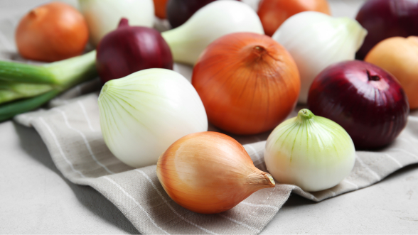 Tipos de cebollas: variedades, diferencias y cuál usar en cada receta
